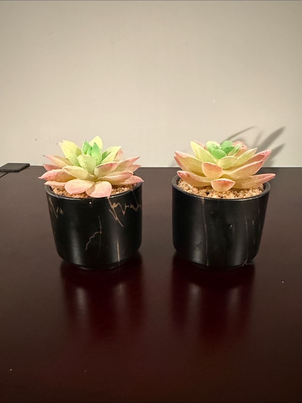 Artificial Succulent Plant in Pink and Green - Home Accents